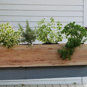 Tabletop Herb Planter